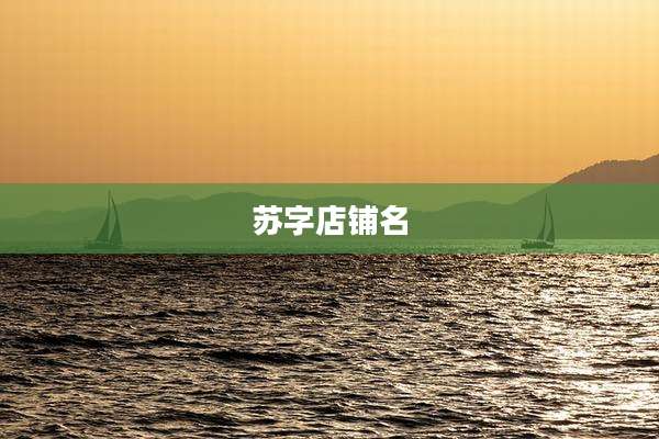 苏字店铺名