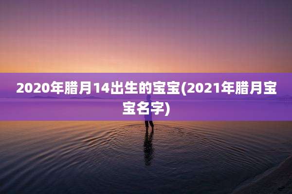2020年腊月14出生的宝宝(2021年腊月宝宝名字)