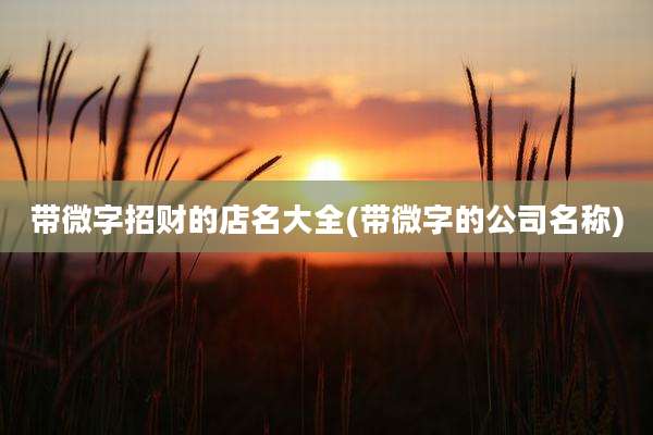 带微字招财的店名大全(带微字的公司名称)