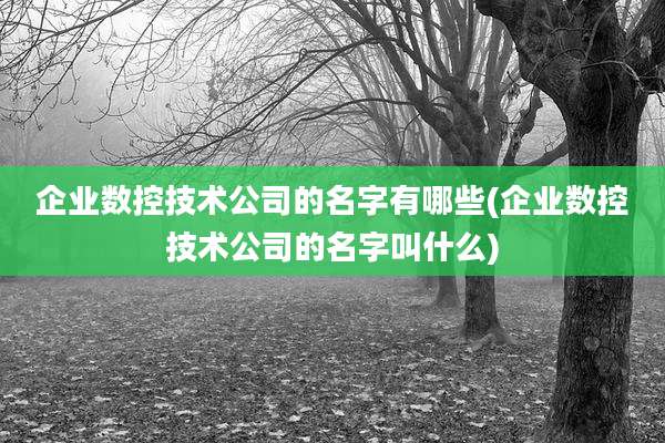 企业数控技术公司的名字有哪些(企业数控技术公司的名字叫什么)