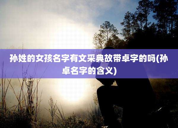 孙姓的女孩名字有文采典故带卓字的吗(孙卓名字的含义)