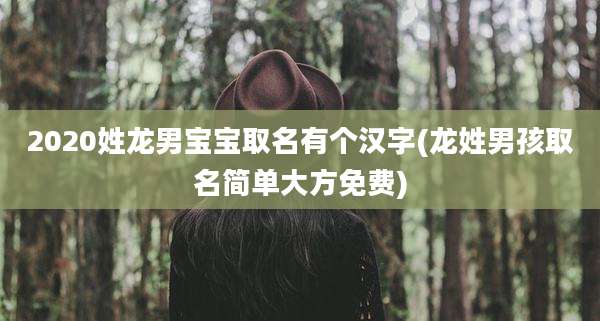 2020姓龙男宝宝取名有个汉字(龙姓男孩取名简单大方免费)