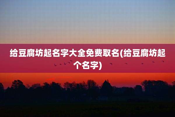 给豆腐坊起名字大全免费取名(给豆腐坊起个名字)