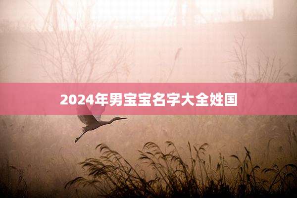 2024年男宝宝名字大全姓国