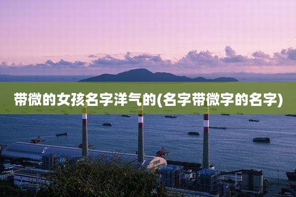 带微的女孩名字洋气的(名字带微字的名字)