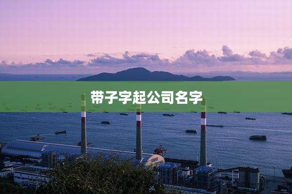 带子字起公司名字