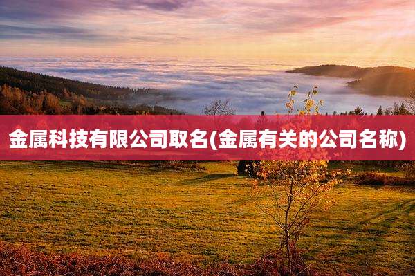 金属科技有限公司取名(金属有关的公司名称)