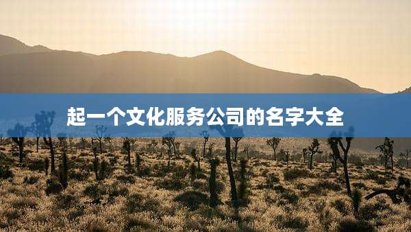 起一个文化服务公司的名字大全