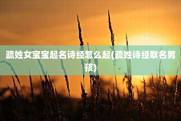 疏姓女宝宝起名诗经怎么起(疏姓诗经取名男孩)