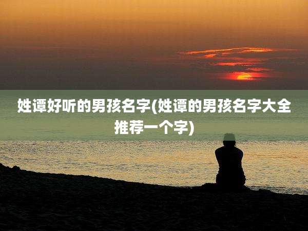 姓谭好听的男孩名字(姓谭的男孩名字大全推荐一个字)