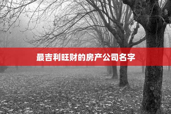 最吉利旺财的房产公司名字