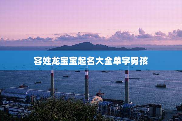 容姓龙宝宝起名大全单字男孩