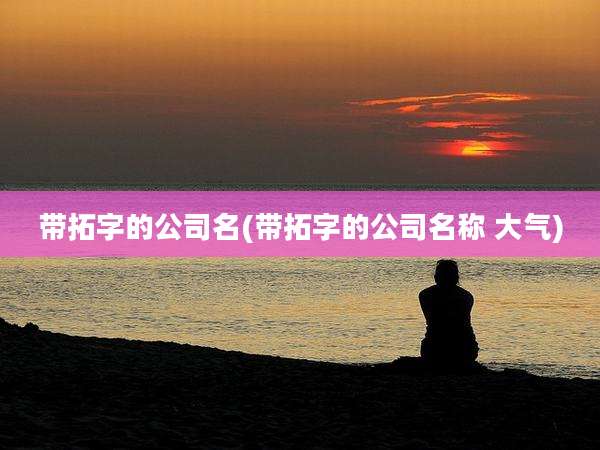 带拓字的公司名(带拓字的公司名称 大气)