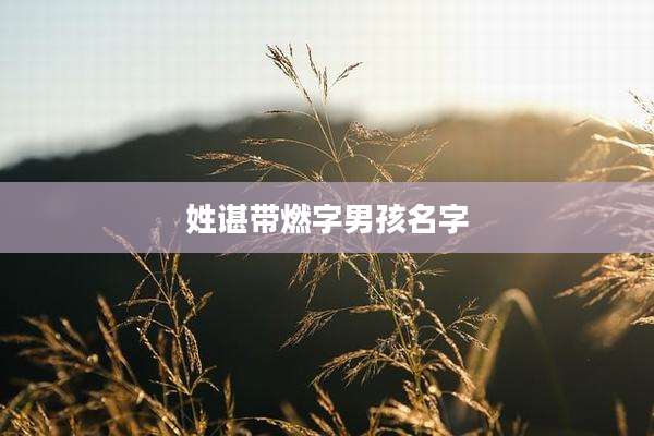 姓谌带燃字男孩名字