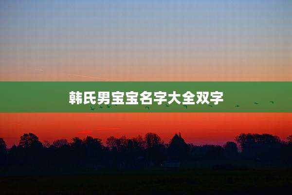 韩氏男宝宝名字大全双字