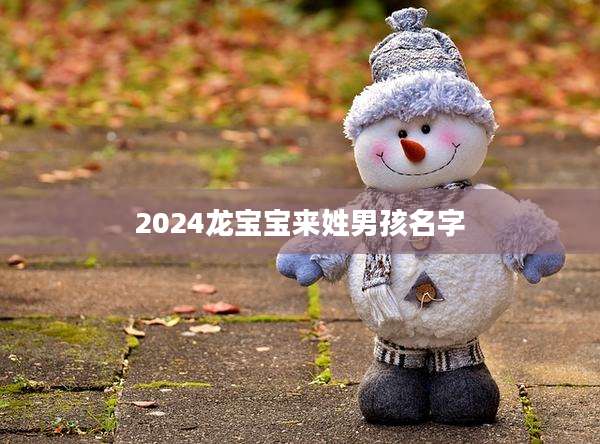 2024龙宝宝来姓男孩名字