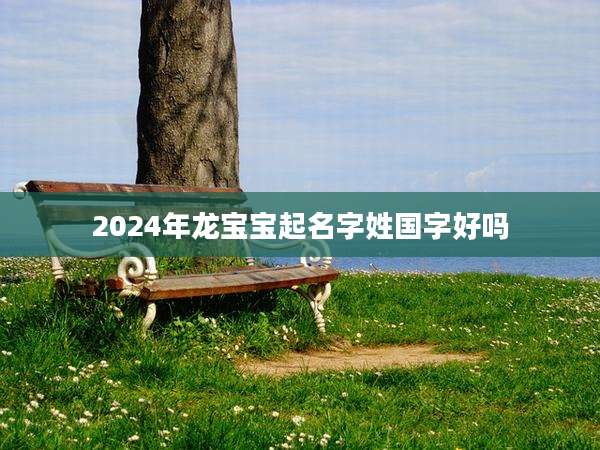 2024年龙宝宝起名字姓国字好吗