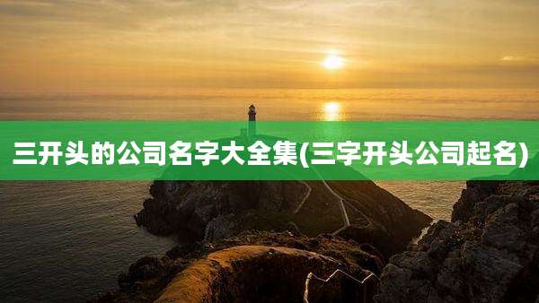 三开头的公司名字大全集(三字开头公司起名)