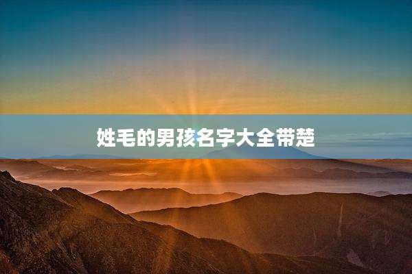 姓毛的男孩名字大全带楚