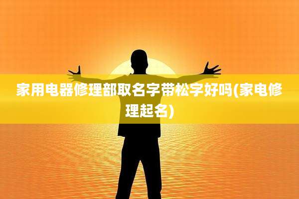 家用电器修理部取名字带松字好吗(家电修理起名)