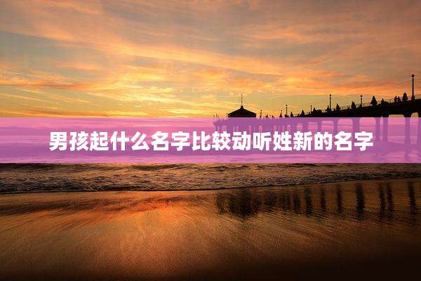 男孩起什么名字比较动听姓新的名字