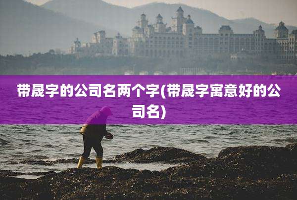 带晟字的公司名两个字(带晟字寓意好的公司名)
