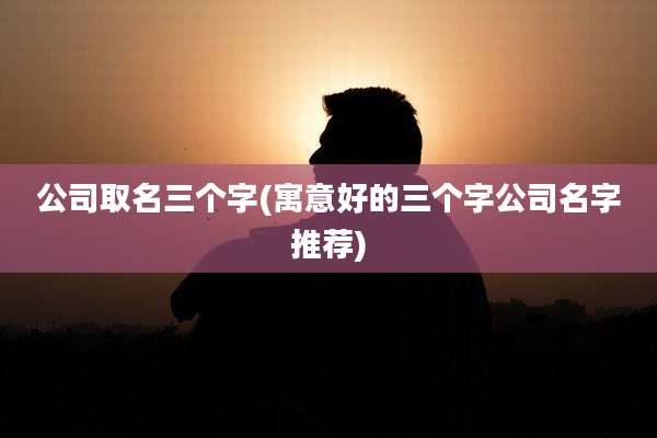 公司取名三个字(寓意好的三个字公司名字推荐)