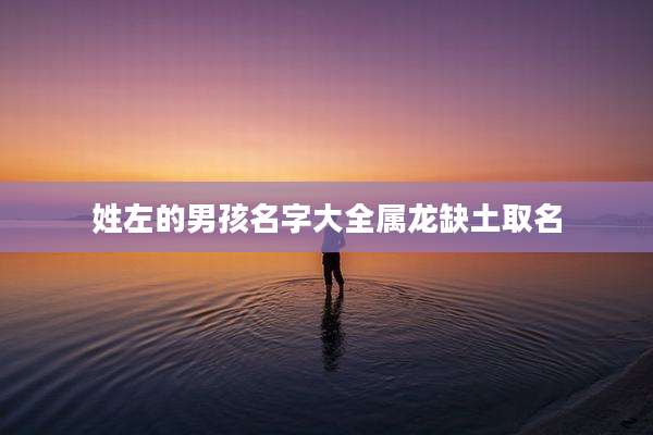 姓左的男孩名字大全属龙缺土取名