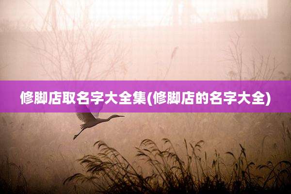 修脚店取名字大全集(修脚店的名字大全)