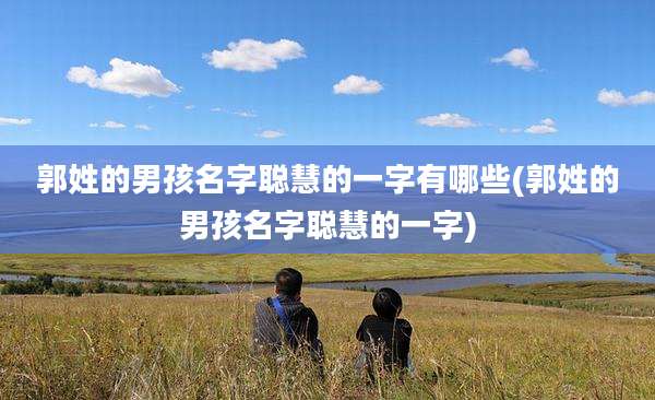 郭姓的男孩名字聪慧的一字有哪些(郭姓的男孩名字聪慧的一字)
