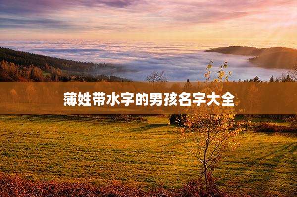 薄姓带水字的男孩名字大全