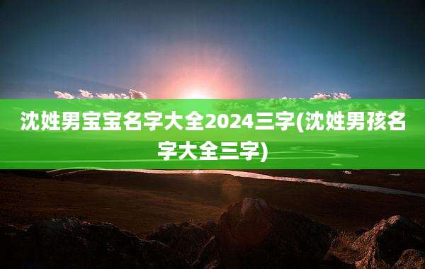 沈姓男宝宝名字大全2024三字(沈姓男孩名字大全三字)
