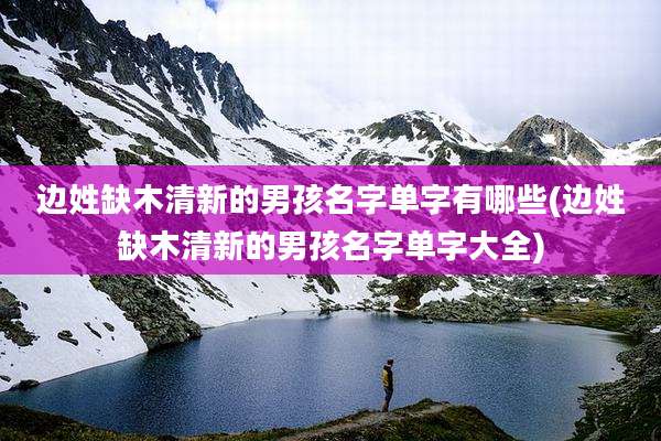 边姓缺木清新的男孩名字单字有哪些(边姓缺木清新的男孩名字单字大全)