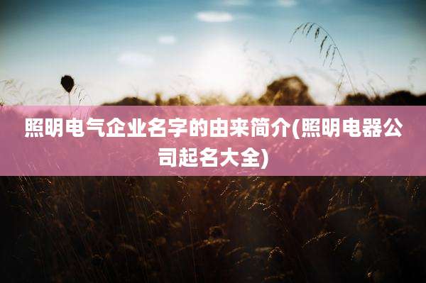 照明电气企业名字的由来简介(照明电器公司起名大全)