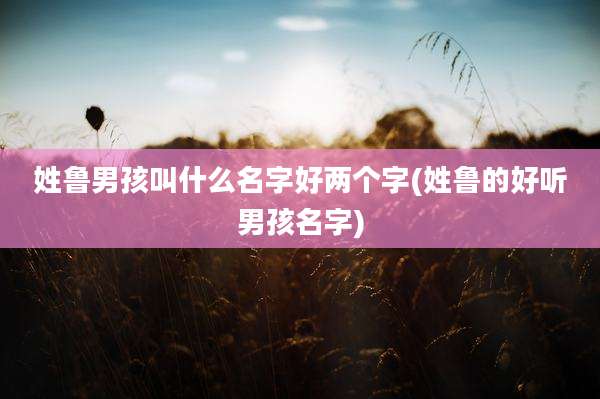 姓鲁男孩叫什么名字好两个字(姓鲁的好听男孩名字)