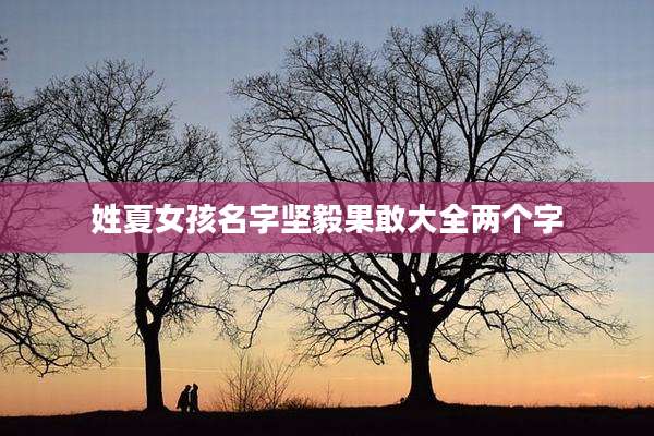 姓夏女孩名字坚毅果敢大全两个字