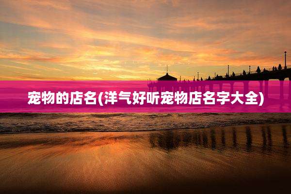 宠物的店名(洋气好听宠物店名字大全)