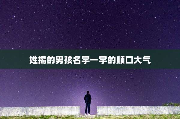 姓揭的男孩名字一字的顺口大气