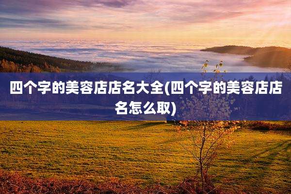 四个字的美容店店名大全(四个字的美容店店名怎么取)