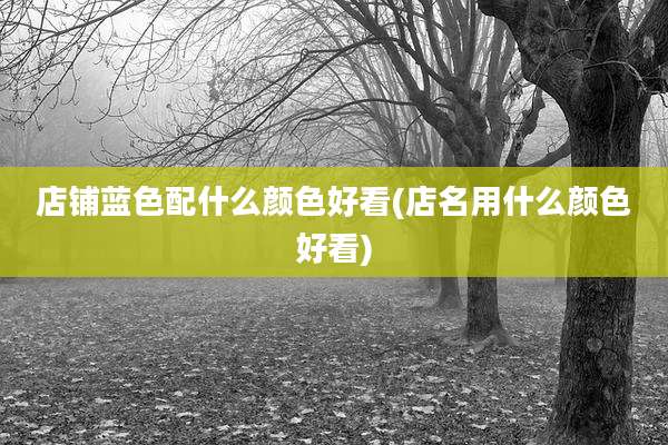 店铺蓝色配什么颜色好看(店名用什么颜色好看)