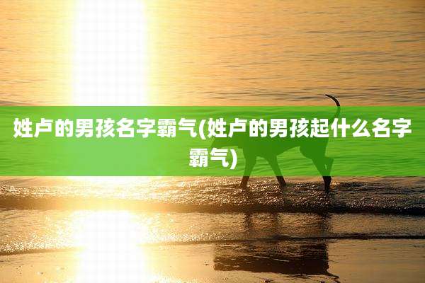 姓卢的男孩名字霸气(姓卢的男孩起什么名字霸气)