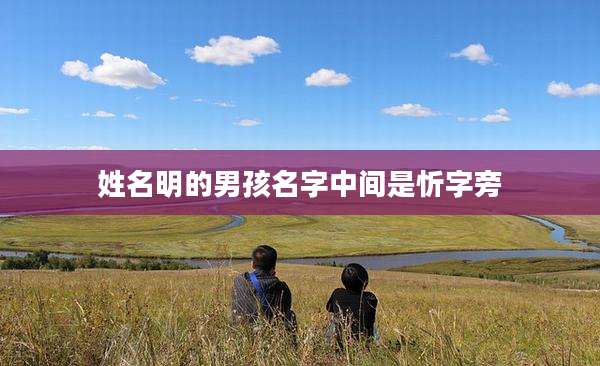 姓名明的男孩名字中间是忻字旁