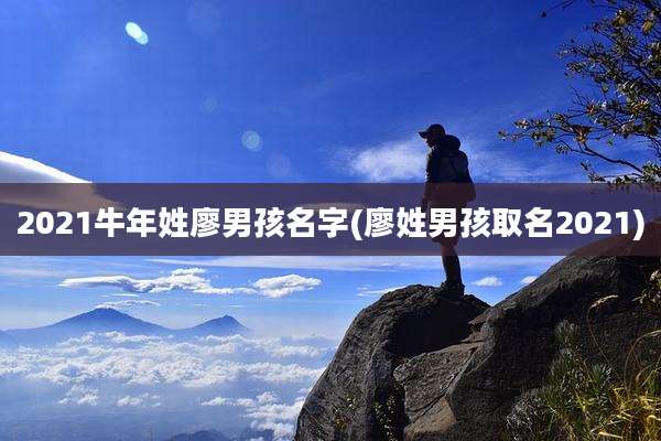 2021牛年姓廖男孩名字(廖姓男孩取名2021)