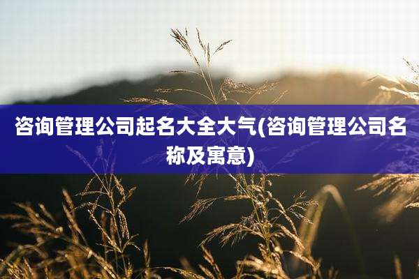 咨询管理公司起名大全大气(咨询管理公司名称及寓意)