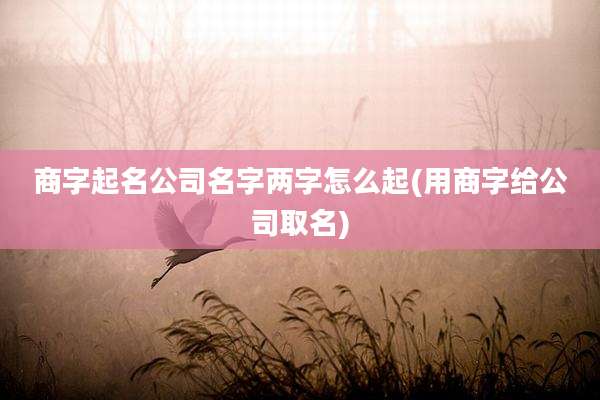 商字起名公司名字两字怎么起(用商字给公司取名)