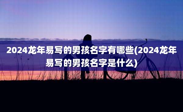 2024龙年易写的男孩名字有哪些(2024龙年易写的男孩名字是什么)