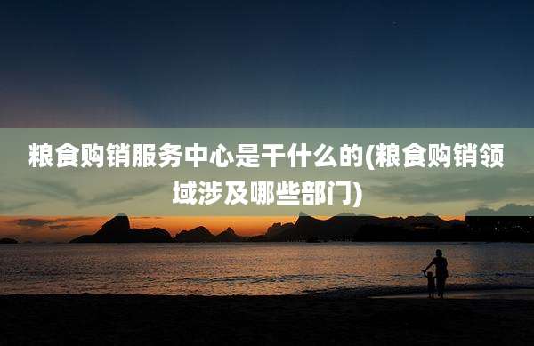 粮食购销服务中心是干什么的(粮食购销领域涉及哪些部门)