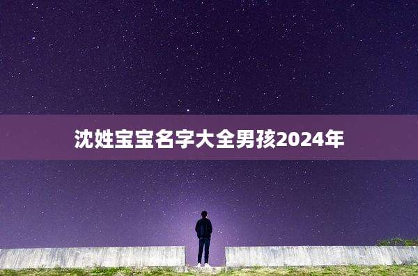 沈姓宝宝名字大全男孩2024年