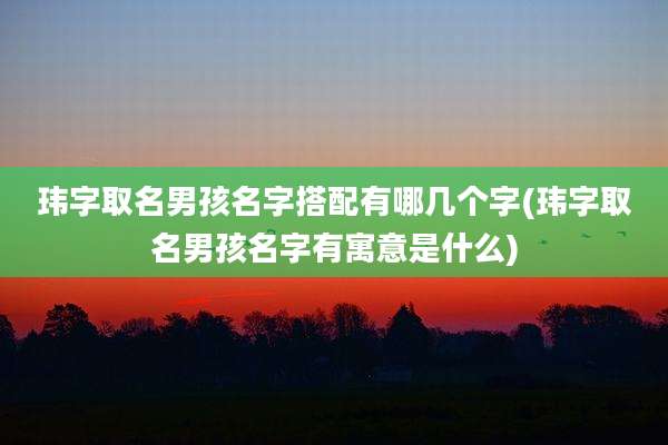 玮字取名男孩名字搭配有哪几个字(玮字取名男孩名字有寓意是什么)