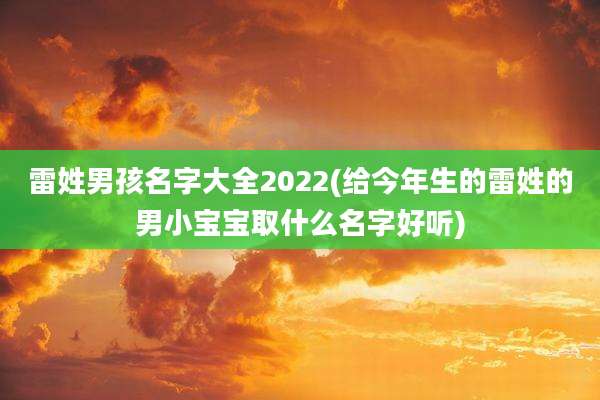 雷姓男孩名字大全2022(给今年生的雷姓的男小宝宝取什么名字好听)
